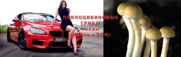 бошки Киров