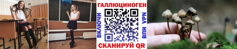 закладки  Белоусово  Псилоцибиновые грибы мухоморы 